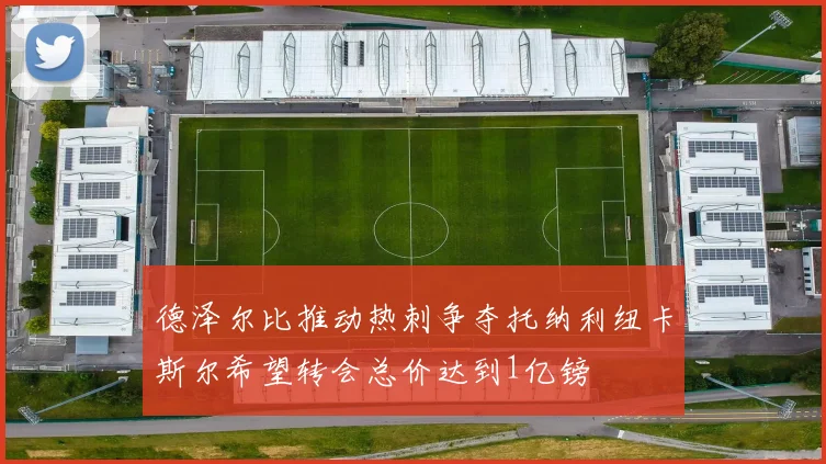 德泽尔比推动热刺争夺托纳利纽卡斯尔希望转会总价达到1亿镑