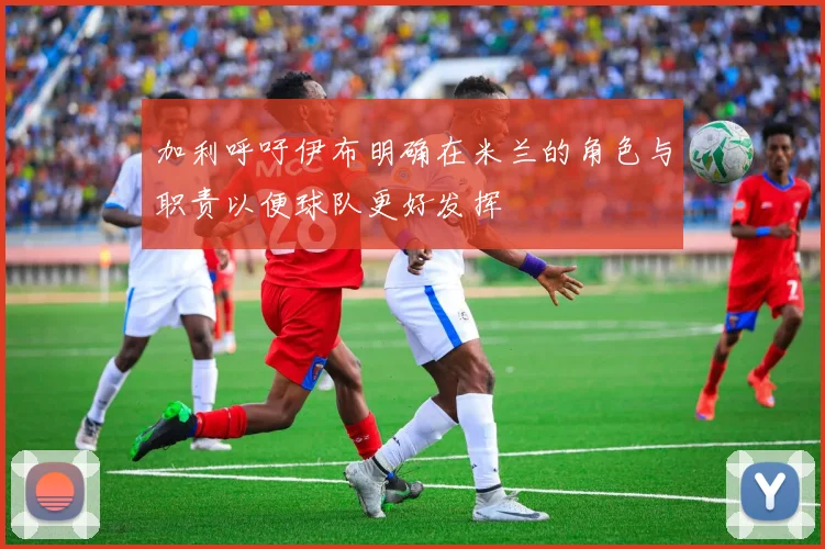 加利呼吁伊布明确在米兰的角色与职责以便球队更好发挥